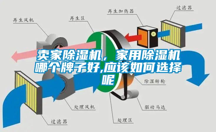 賣家除濕機，家用除濕機哪個牌子好,應(yīng)該如何選擇呢