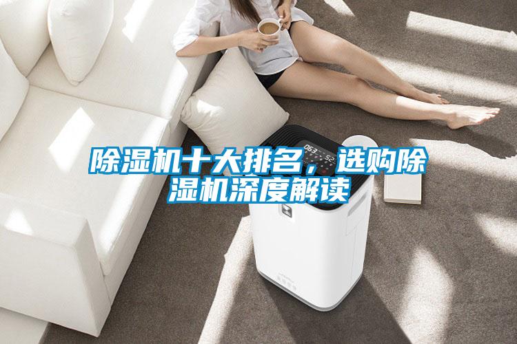 除濕機(jī)十大排名，選購(gòu)除濕機(jī)深度解讀