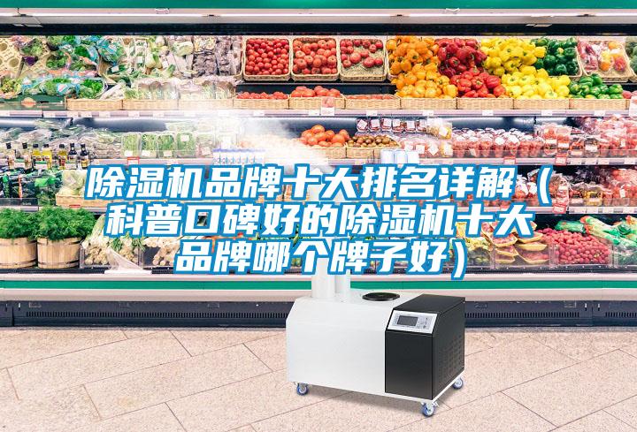 除濕機(jī)品牌十大排名詳解（科普口碑好的除濕機(jī)十大品牌哪個牌子好）