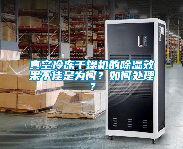 真空冷凍干燥機(jī)的除濕效果不佳是為何？如何處理？
