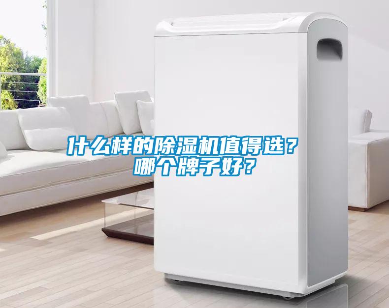 什么樣的除濕機值得選？ 哪個牌子好？