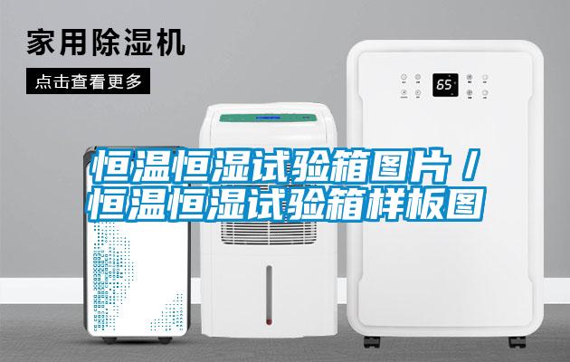 恒溫恒濕試驗(yàn)箱圖片／恒溫恒濕試驗(yàn)箱樣板圖
