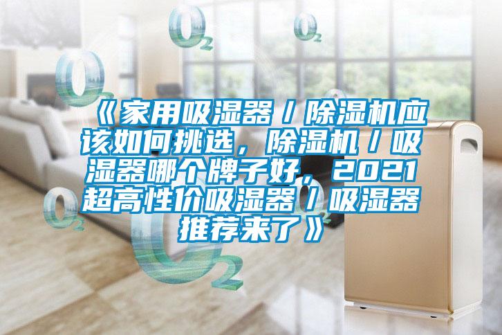 《家用吸濕器／除濕機(jī)應(yīng)該如何挑選，除濕機(jī)／吸濕器哪個(gè)牌子好，2021超高性價(jià)吸濕器／吸濕器推薦來(lái)了》