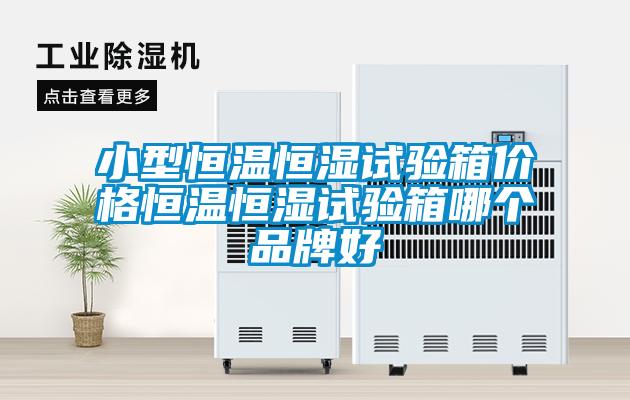 小型恒溫恒濕試驗(yàn)箱價格恒溫恒濕試驗(yàn)箱哪個品牌好