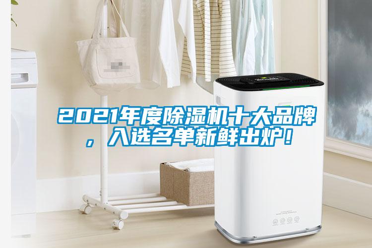 2021年度除濕機(jī)十大品牌，入選名單新鮮出爐！