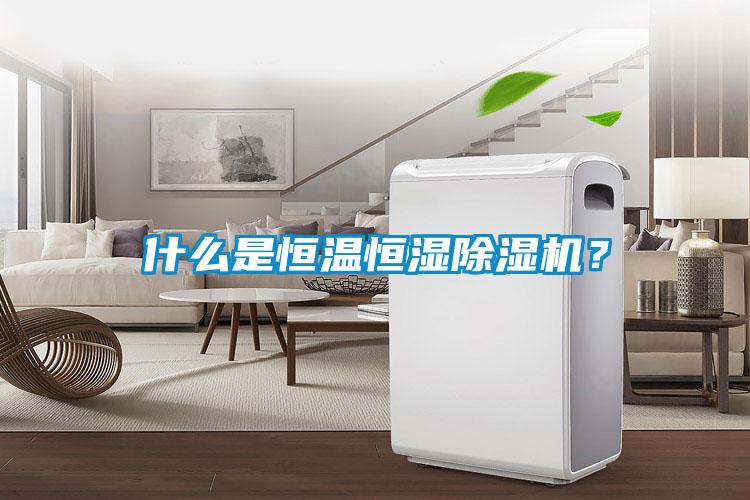 什么是恒溫恒濕除濕機(jī)？