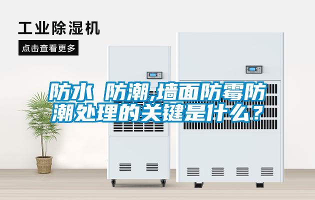 防水≠防潮,墻面防霉防潮處理的關(guān)鍵是什么？
