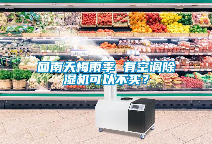 回南天梅雨季 有空調(diào)除濕機可以不買？