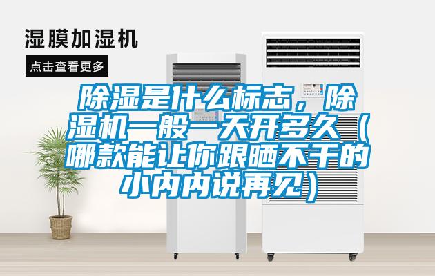 除濕是什么標志，除濕機一般一天開多久（哪款能讓你跟曬不干的小內(nèi)內(nèi)說再見）