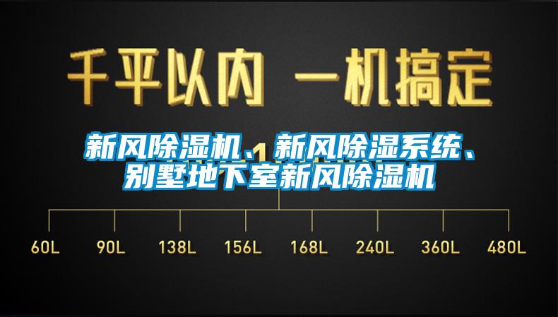 新風(fēng)除濕機(jī)、新風(fēng)除濕系統(tǒng)、別墅地下室新風(fēng)除濕機(jī)