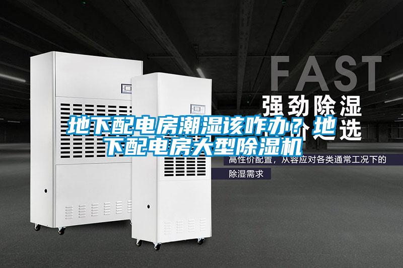 地下配電房潮濕該咋辦？地下配電房大型除濕機(jī)