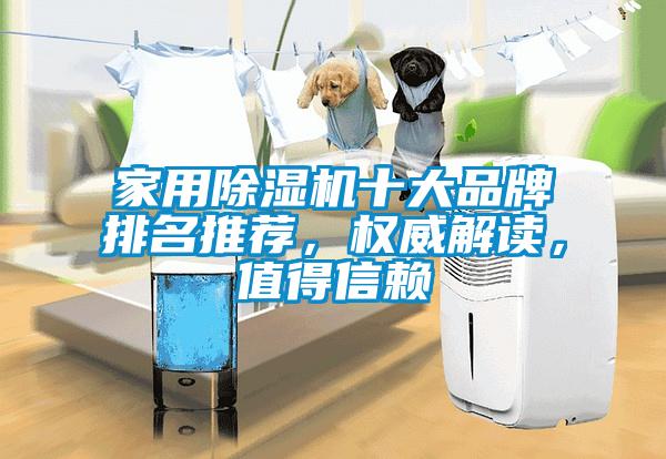 家用除濕機十大品牌排名推薦，權(quán)威解讀，值得信賴