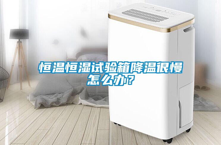 恒溫恒濕試驗(yàn)箱降溫很慢怎么辦？