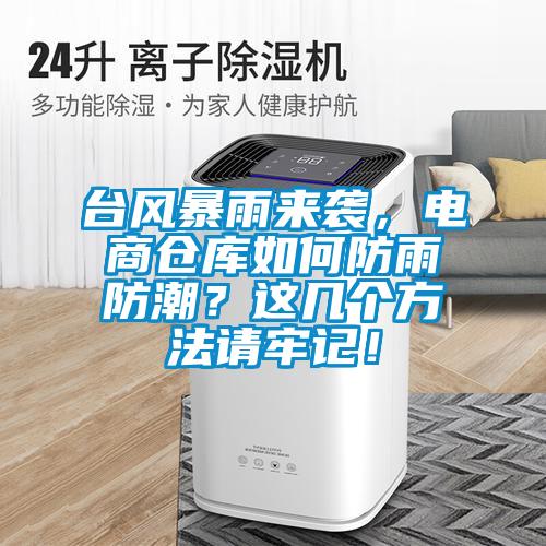 臺風暴雨來襲，電商倉庫如何防雨防潮？這幾個方法請牢記！