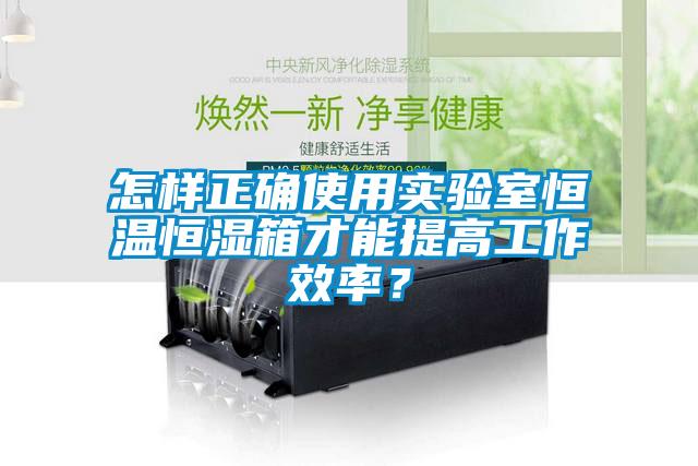 怎樣正確使用實(shí)驗(yàn)室恒溫恒濕箱才能提高工作效率？