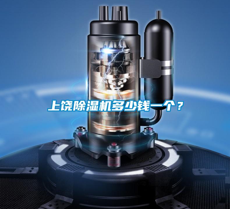 上饒除濕機(jī)多少錢(qián)一個(gè)？