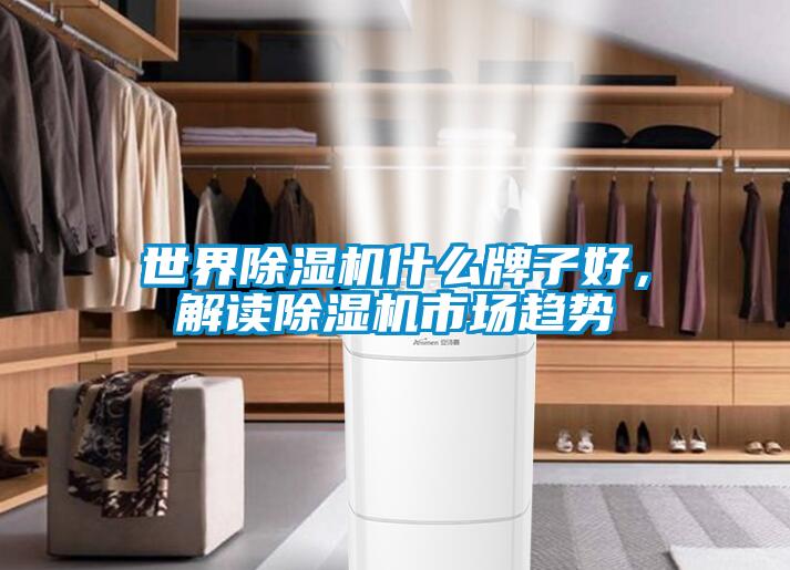 世界除濕機(jī)什么牌子好，解讀除濕機(jī)市場趨勢