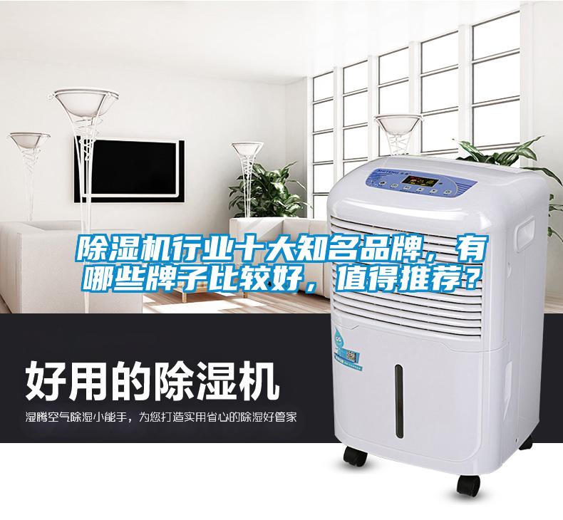 除濕機(jī)行業(yè)十大知名品牌，有哪些牌子比較好，值得推薦？