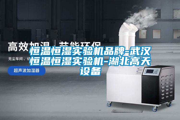 恒溫恒濕實(shí)驗(yàn)機(jī)品牌-武漢恒溫恒濕實(shí)驗(yàn)機(jī)-湖北高天設(shè)備