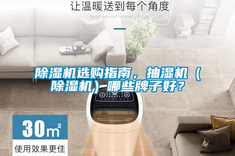 除濕機選購指南，抽濕機（除濕機）哪些牌子好？
