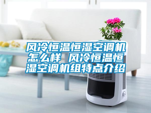 風(fēng)冷恒溫恒濕空調(diào)機(jī)怎么樣 風(fēng)冷恒溫恒濕空調(diào)機(jī)組特點介紹