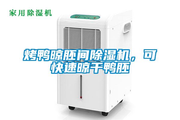 烤鴨晾胚間除濕機(jī)，可快速晾干鴨胚