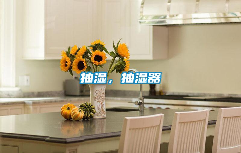 抽濕，抽濕器
