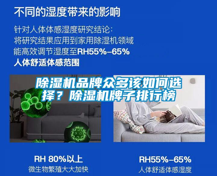 除濕機(jī)品牌眾多該如何選擇？除濕機(jī)牌子排行榜