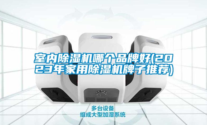 室內(nèi)除濕機(jī)哪個品牌好(2023年家用除濕機(jī)牌子推薦)