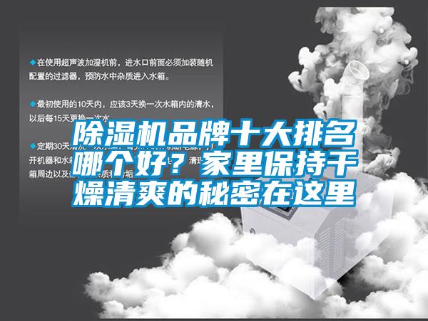 除濕機(jī)品牌十大排名哪個(gè)好？家里保持干燥清爽的秘密在這里