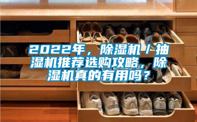 2022年，除濕機／抽濕機推薦選購攻略，除濕機真的有用嗎？
