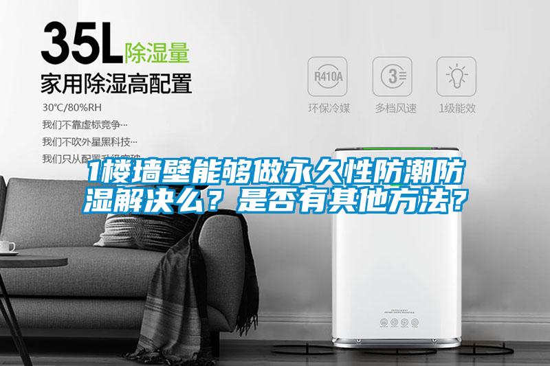 1樓墻壁能夠做永久性防潮防濕解決么？是否有其他方法？