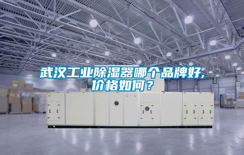 武漢工業(yè)除濕器哪個品牌好,價格如何？