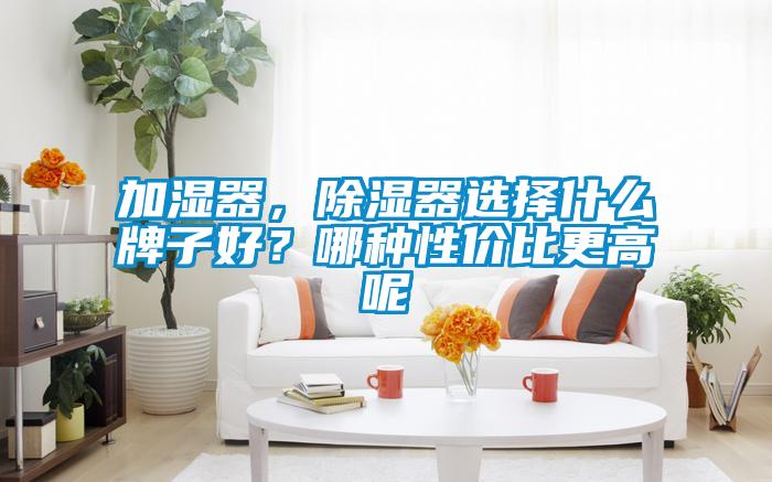 加濕器，除濕器選擇什么牌子好？哪種性價比更高呢