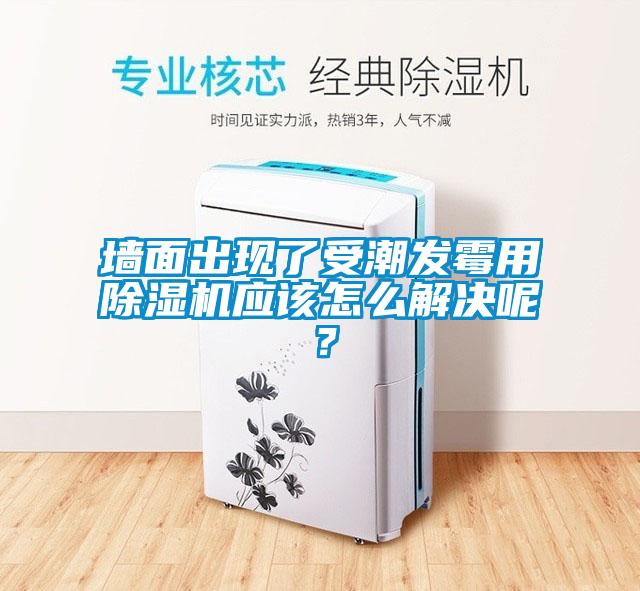 墻面出現(xiàn)了受潮發(fā)霉用除濕機(jī)應(yīng)該怎么解決呢？