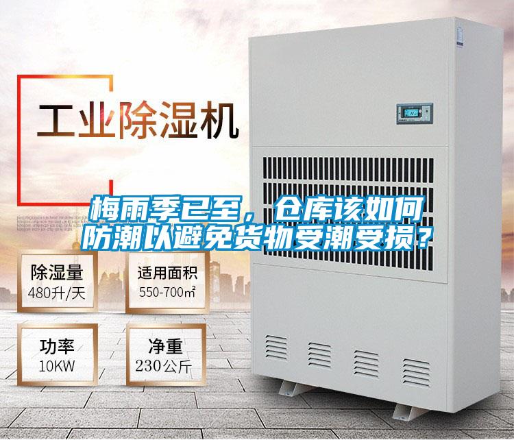 梅雨季已至，倉庫該如何防潮以避免貨物受潮受損？