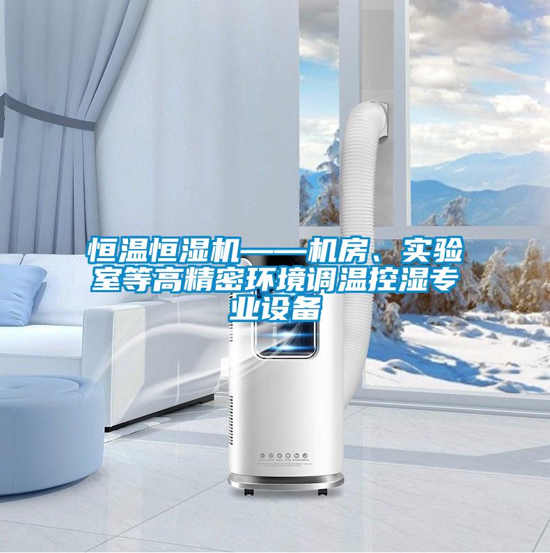 恒溫恒濕機——機房、實驗室等高精密環(huán)境調(diào)溫控濕專業(yè)設(shè)備