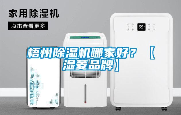 梧州除濕機(jī)哪家好？【濕菱品牌】