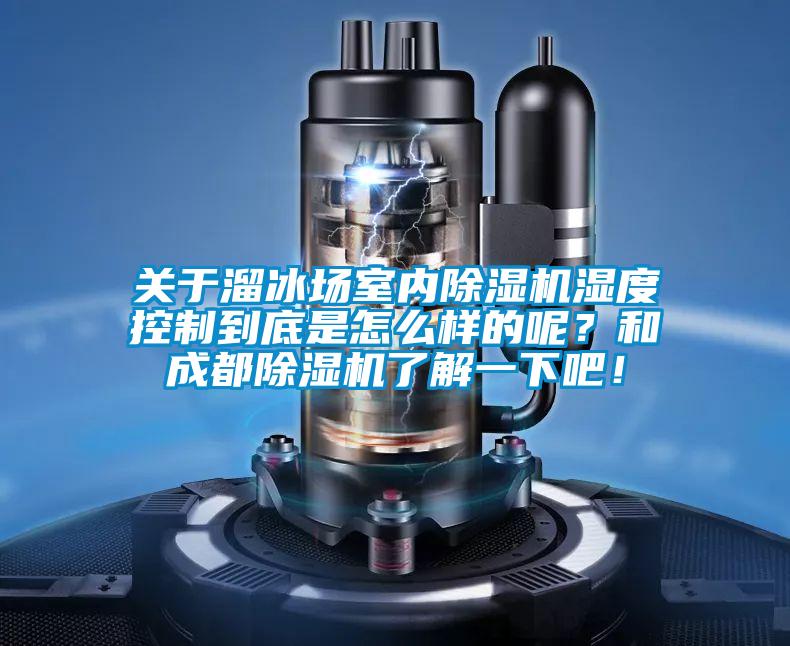 關(guān)于溜冰場(chǎng)室內(nèi)除濕機(jī)濕度控制到底是怎么樣的呢？和成都除濕機(jī)了解一下吧！