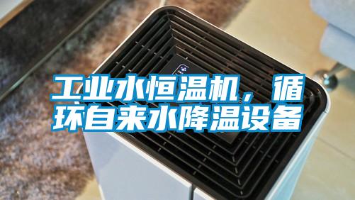 工業(yè)水恒溫機(jī)，循環(huán)自來水降溫設(shè)備