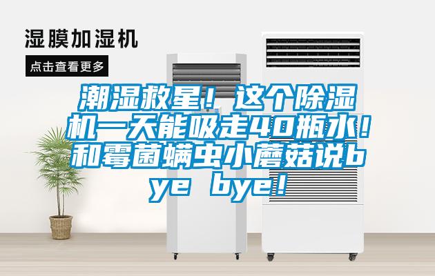 潮濕救星！這個(gè)除濕機(jī)一天能吸走40瓶水！和霉菌螨蟲小蘑菇說bye bye！