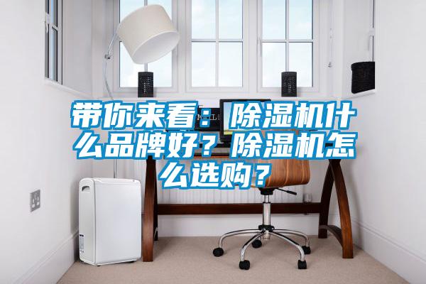 帶你來看：除濕機什么品牌好？除濕機怎么選購？