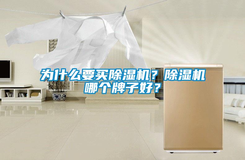 為什么要買除濕機(jī)？除濕機(jī)哪個(gè)牌子好？