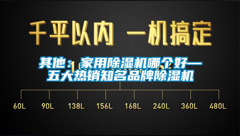 其他：家用除濕機(jī)哪個(gè)好—五大熱銷(xiāo)知名品牌除濕機(jī)