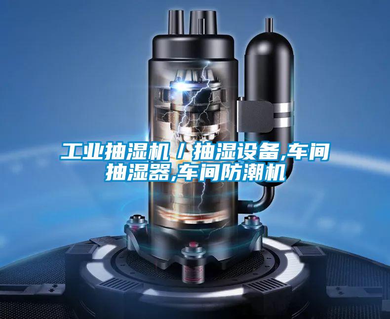 工業(yè)抽濕機／抽濕設備,車間抽濕器,車間防潮機