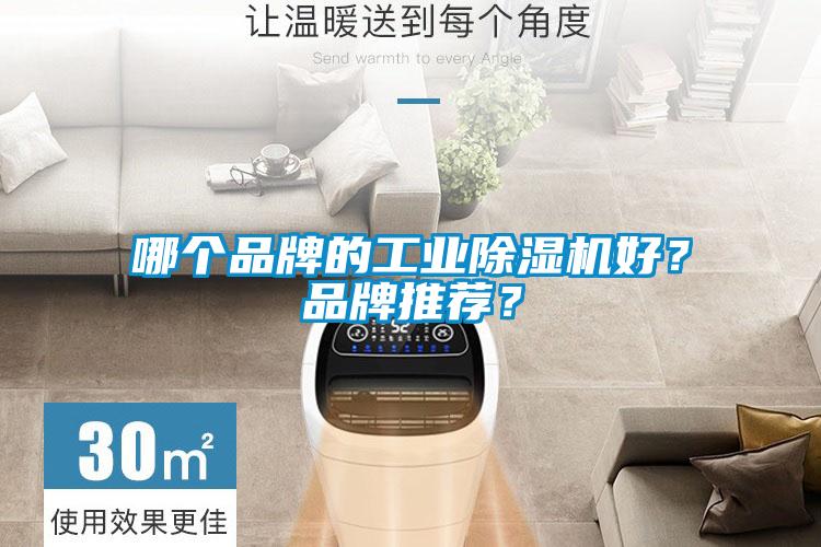 哪個(gè)品牌的工業(yè)除濕機(jī)好？品牌推薦？