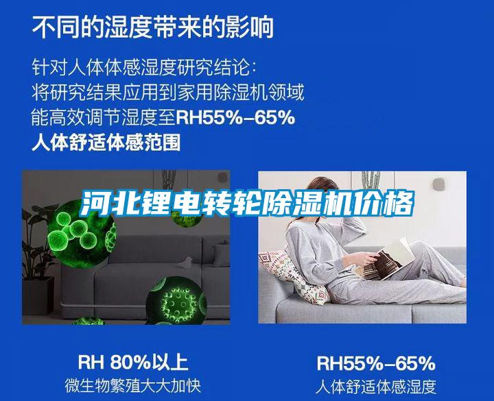 河北鋰電轉(zhuǎn)輪除濕機(jī)價格