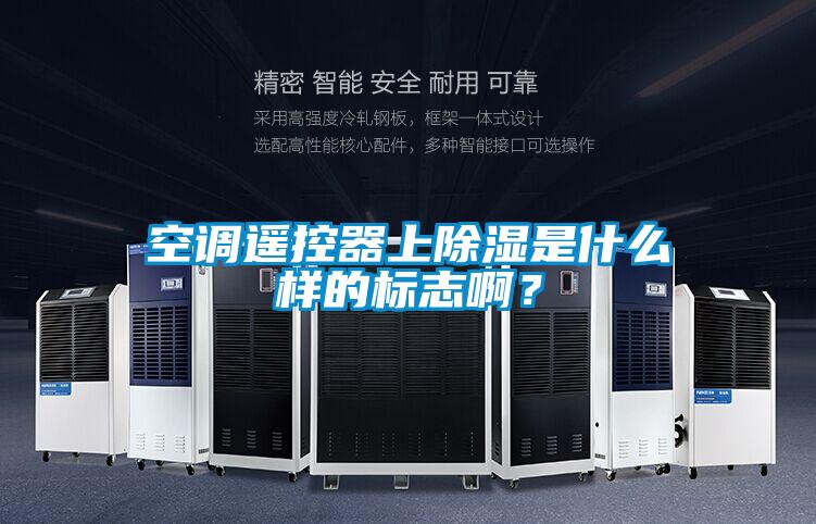 空調(diào)遙控器上除濕是什么樣的標(biāo)志?。?/></p>
						    <p style=
