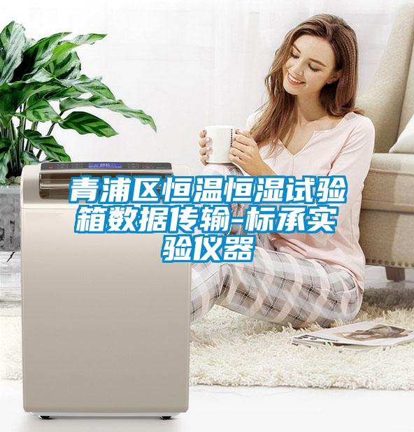 青浦區(qū)恒溫恒濕試驗箱數據傳輸-標承實驗儀器