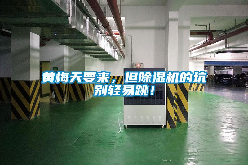 黃梅天要來，但除濕機的坑別輕易跳！